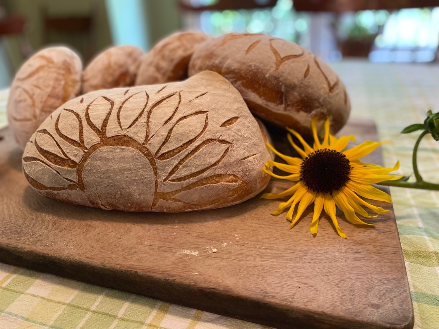 Handcrafted sourdough loaves with leaf scoring beside a sunflower